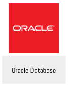 Oracle 数据库插件